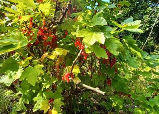 Продам дом, 40 м2, рабочий посёлок Елатьма, Подгорная улица