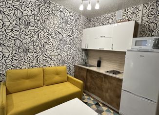 Продам квартиру студию, 23.1 м2, Новосибирск, улица Авиастроителей, 11/1, улица Авиастроителей