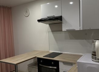 1-ком. квартира на продажу, 23.8 м2, поселок Бугры, Новая улица, 7