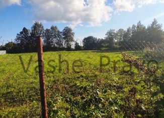 Продаю земельный участок, 21 сот., деревня Панское