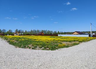 Продаю земельный участок, 6.8 сот., деревня Бортнево