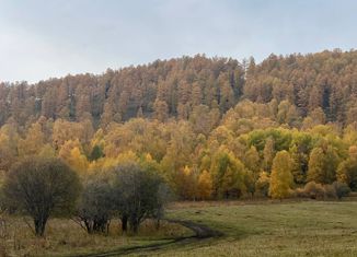 Продается земельный участок, 280 сот., поселок Верх-Анос, Центральная улица