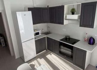 Сдам двухкомнатную квартиру, 50 м2, Екатеринбург, Дорожная улица, 20, ЖК Весна