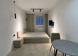 Продажа однокомнатной квартиры, 27.2 м2, Санкт-Петербург, Лесной проспект, 5, Лесной проспект