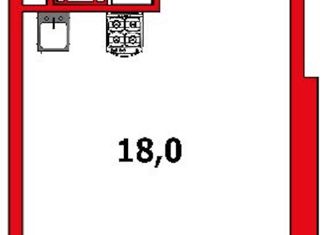Квартира на продажу студия, 24.6 м2, Санкт-Петербург, муниципальный округ Сосновая Поляна, улица Лётчика Лихолетова, 14к3