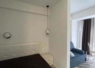 Продам 2-комнатную квартиру, 42 м2, Сочи, Фермерская улица, 35, микрорайон Энергетик-Изумруд