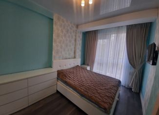 Сдам в аренду 1-ком. квартиру, 30 м2, Сочи, улица Голенева, 17/4, микрорайон Макаренко