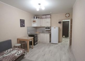 Квартира на продажу студия, 27.9 м2, село Михайловка, Сливовая улица, 10