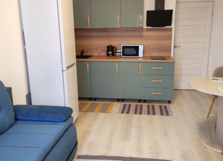 Продается квартира студия, 25.5 м2, Санкт-Петербург, метро Комендантский проспект, Верхне-Каменская улица