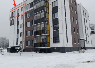 Продам 3-комнатную квартиру, 56.8 м2, Петрозаводск, Финский проезд, 13, район Древлянка-II