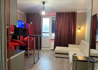 Продаю квартиру студию, 25 м2, Мурино, проспект Авиаторов Балтики, 7, ЖК Виктория