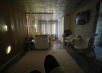 Продам дом, 38 м2, деревня Паренкина, Московская улица