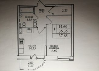 Продам 1-комнатную квартиру, 37 м2, Санкт-Петербург, Заречная улица, 45к2