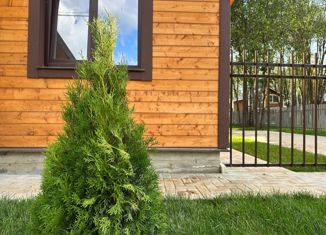 Продам дом, 70 м2, деревня Тяжино, Рябиновая улица