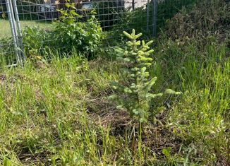 Продажа земельного участка, 6 сот., СНТ Торжнево, деревня Торжнево, 97