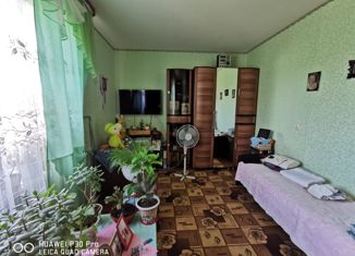 Продается дом, 42 м2, деревня Каменка, Школьный переулок