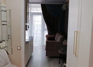 Продается квартира студия, 24.6 м2, Ольгинка, 3-й микрорайон, 21