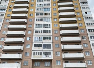 Продам 2-комнатную квартиру, 61.4 м2, Санкт-Петербург, Парашютная улица, 58, ЖК Каменка