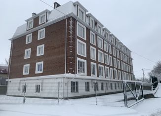 Продажа однокомнатной квартиры, 36.8 м2, рабочий посёлок Рамонь, улица Калинина, 5А