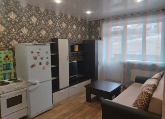 Продается двухкомнатная квартира, 43.3 м2, рабочий поселок Маркова, микрорайон Берёзовый, 158