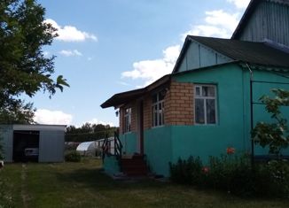 Продажа дома, 80 м2, село Панино, Луговая улица, 10