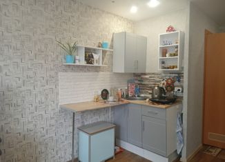 Продажа квартиры студии, 18.9 м2, Пермь, улица Мира, 30, Индустриальный район