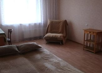 Сдам однокомнатную квартиру, 47 м2, Нижегородская область, улица Бориса Панина, 5к5