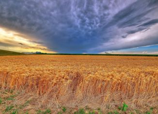 Продам участок, 82000 сот., Псковская область