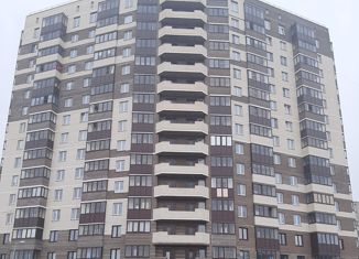 Сдаю однокомнатную квартиру, 28 м2, Ленинградская область, Первомайская улица, 1