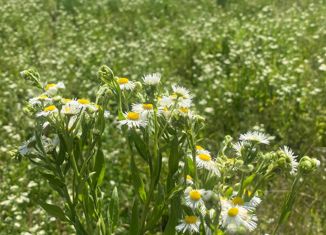 Земельный участок на продажу, 6.5 сот., СНТ Счастье