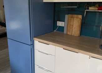 Аренда квартиры студии, 27.5 м2, Санкт-Петербург, Вознесенский проспект, 41К, Вознесенский проспект