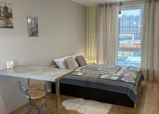 Продаю квартиру студию, 22.8 м2, посёлок Парголово, Толубеевский проезд, 8к2