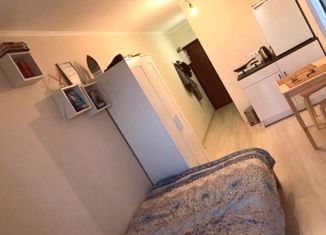 Продажа квартиры студии, 17.4 м2, поселок Бугры, Новая улица, 7