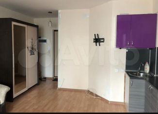 Продаю квартиру студию, 24.7 м2, Челябинск, Центральный район, улица Петра Столыпина, 13