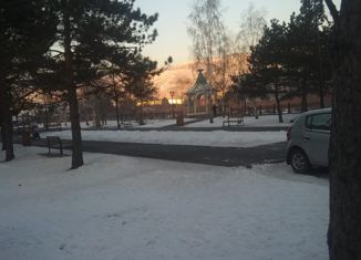 Продаю 2-комнатную квартиру, 42 м2, Красноярск, Речной переулок, 3, Центральный район