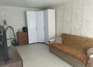 2-ком. квартира на продажу, 48.6 м2, Новоалтайск, Песчаный переулок, 68/2