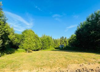 Продам участок, 12 сот., деревня Решоткино, улица Мира