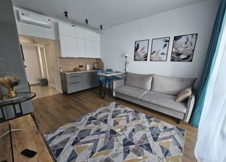 Квартира в аренду студия, 25 м2, Москва, Олонецкая улица, 6, Олонецкая улица