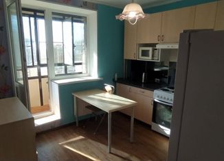 Сдается однокомнатная квартира, 34 м2, Санкт-Петербург, Заречная улица, 25, метро Парнас