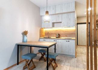 Продаю квартиру студию, 25 м2, Краснодар, улица Григория Пономаренко, 45, улица Григория Пономаренко