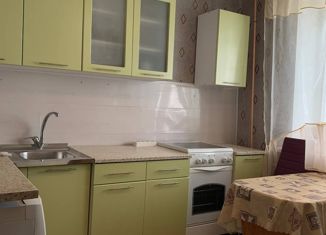 Сдаю в аренду 1-комнатную квартиру, 33 м2, Колпино, Октябрьская улица, 77/27