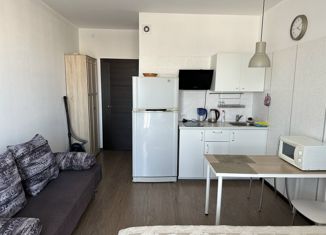 Квартира на продажу студия, 24 м2, Санкт-Петербург, Яхтенная улица, 34