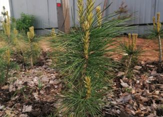 Земельный участок на продажу, 15 сот., поселок Кипелово, Подлесная улица, 37