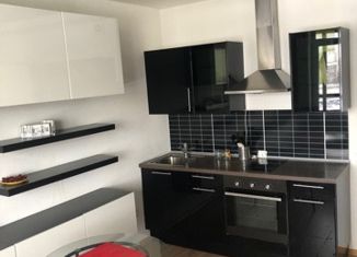 Сдам в аренду квартиру студию, 25.5 м2, деревня Кудрово, Центральная улица, 50