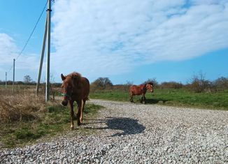 Продам участок, 8.3 сот., поселок Синявино