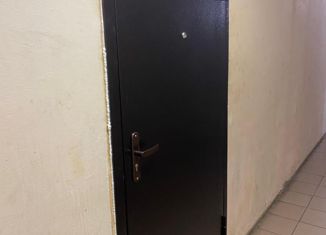 Двухкомнатная квартира на продажу, 33 м2, Тольятти, улица Мира, 133, Центральный район