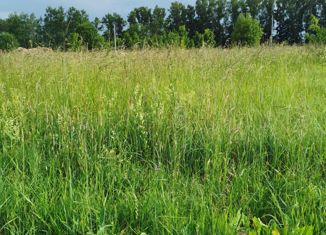 Продаю участок, 10 сот., деревня Тверитино