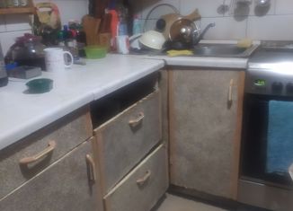 Продам дом, 46.4 м2, село Малый Снежеток, Новая улица, 10