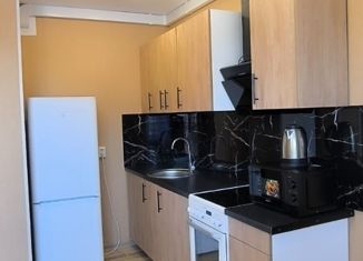 Сдача в аренду 1-ком. квартиры, 40 м2, Ростов-на-Дону, улица Нансена, 103/1/3, Октябрьский район