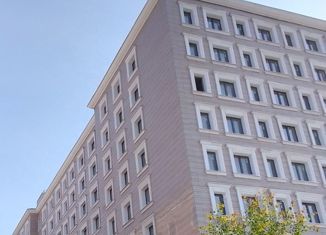 Двухкомнатная квартира на продажу, 53.7 м2, Санкт-Петербург, Таллинская улица, 11с2, Таллинская улица
